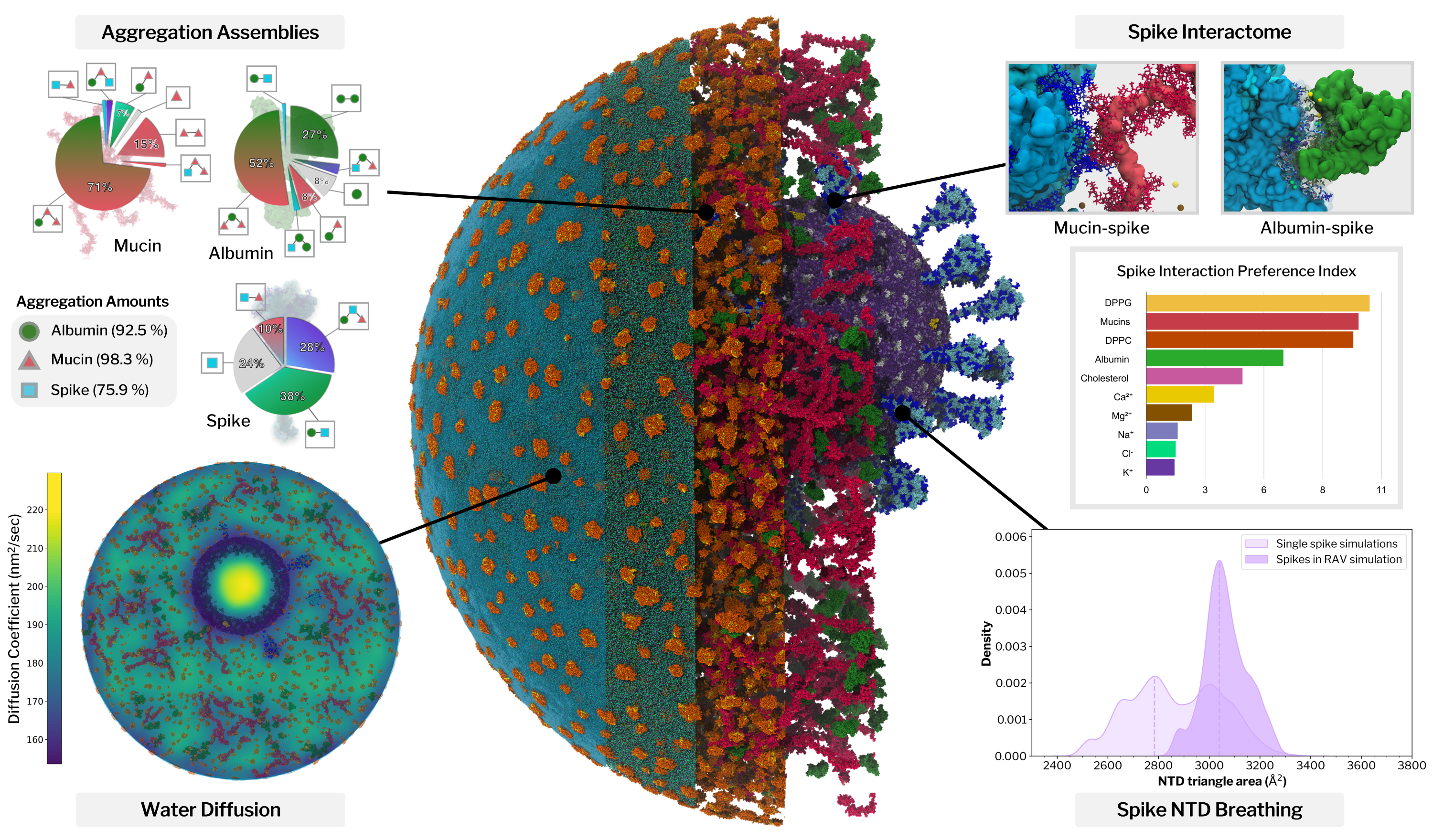 Billion-atom simulations reveal condensate-like organization in virus-laden respiratory aerosols